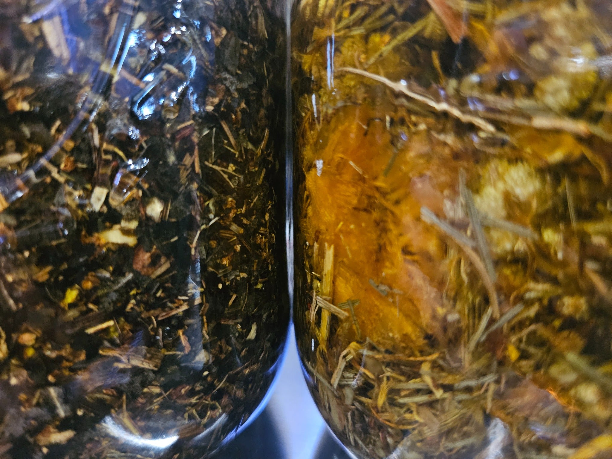 Immortelle Skin Botanical Skincare - Verdant Glow-Vital Alchemy -Slow Herbal Infusion